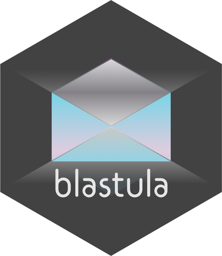 blastula