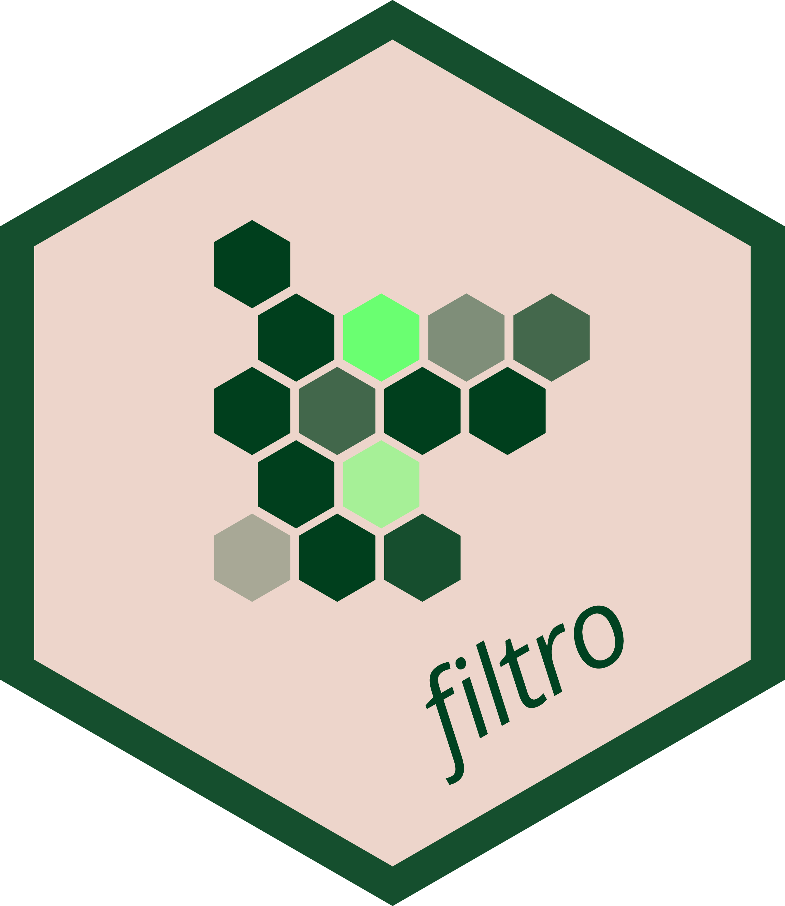 Hex logo for filtro