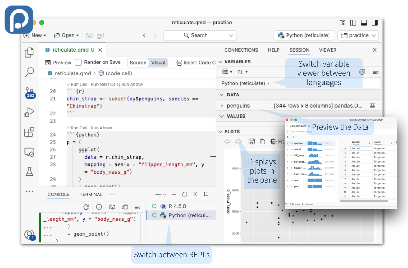 Screenshot of using Reticulate in the Positron IDE