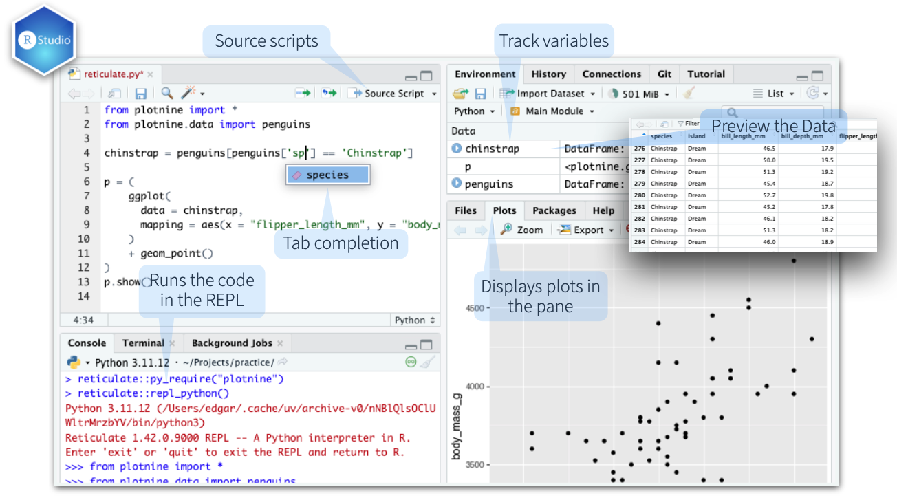 Screenshot of using Reticulate in the RStudio IDE