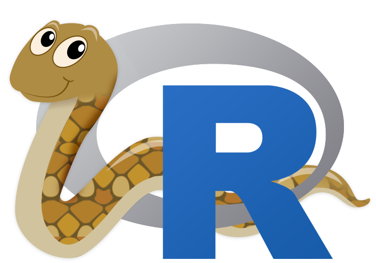 r studio for python